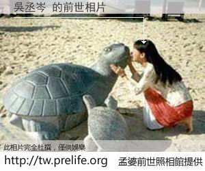 吳丞岑 的前世相片