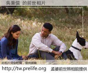 吳秉儒 的前世相片