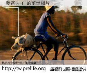 夢宵スイ 的前世相片