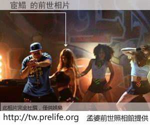 宦鰨 的前世相片