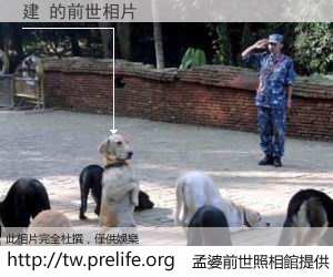 建 的前世相片