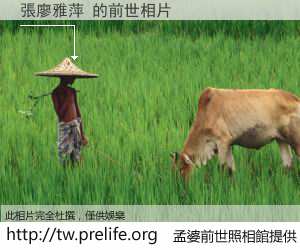 張廖雅萍 的前世相片