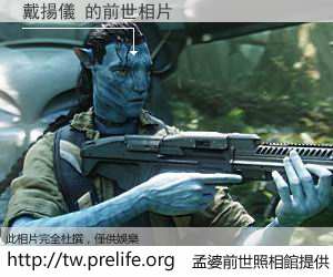 戴揚儀 的前世相片