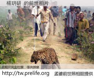 楊玥研 的前世相片