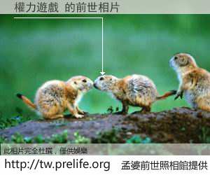 權力遊戲 的前世相片