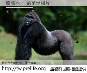 濮陽妁一 的前世相片