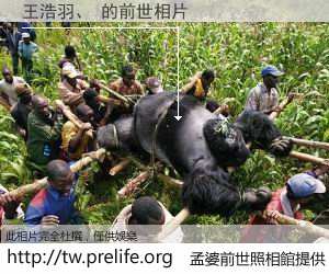 王浩羽、 的前世相片