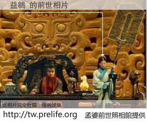 益鷎 的前世相片