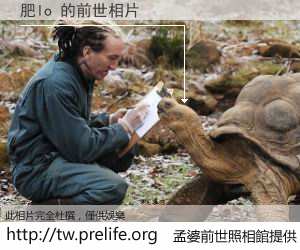 肥lo 的前世相片