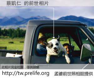 蔡凱仁 的前世相片
