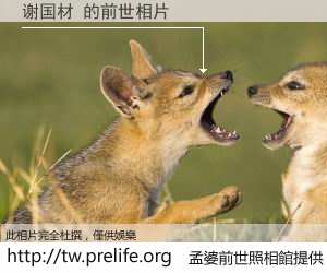 谢国材 的前世相片