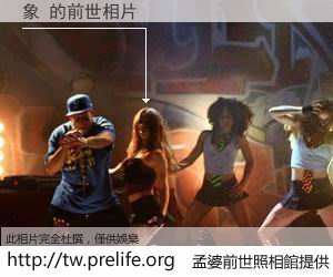 象 的前世相片