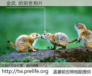 金武 的前世相片