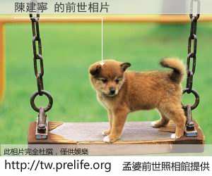 陳建寧 的前世相片