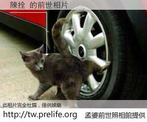 陳拴 的前世相片