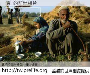 頁 的前世相片