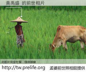 黃禹盛 的前世相片