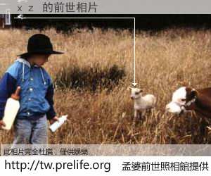 ｘｚ 的前世相片