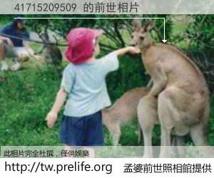 41715209509 的前世相片