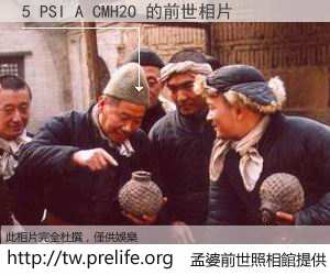 5 PSI A CMH2O 的前世相片