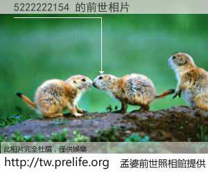 5222222154 的前世相片