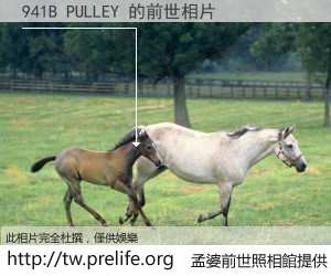 941B PULLEY 的前世相片