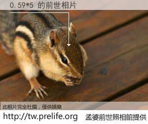 0.59*5 的前世相片