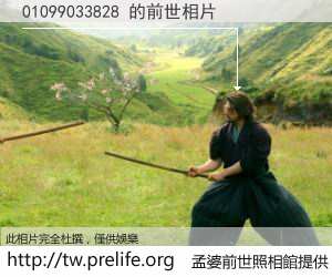 01099033828 的前世相片