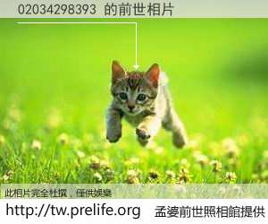02034298393 的前世相片