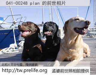 041-00248 plan 的前世相片