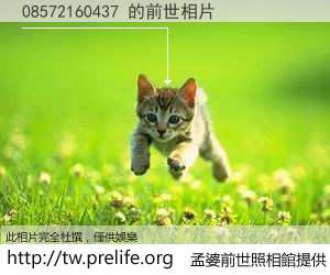 08572160437 的前世相片