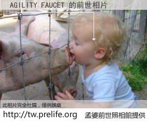 AGILITY FAUCET 的前世相片
