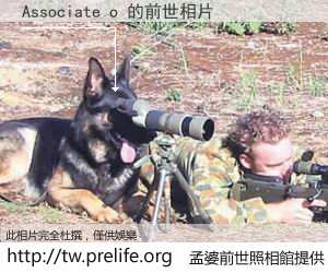 Associate o 的前世相片