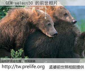GEM-select50 的前世相片