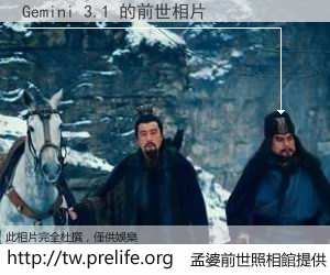 Gemini 3.1 的前世相片