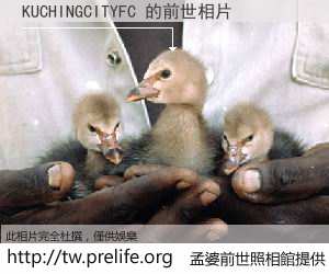 KUCHINGCITYFC 的前世相片