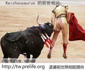 Keichousaurus 的前世相片