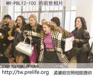 MR-PBL12-100 的前世相片