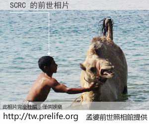 SCRC 的前世相片