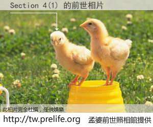 Section 4(1) 的前世相片