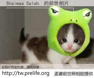 Shaimaa Salah. 的前世相片