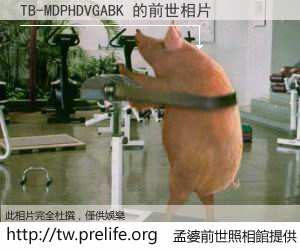 TB-MDPHDVGABK 的前世相片