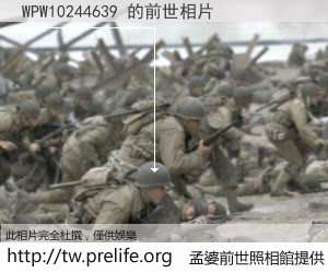 WPW10244639 的前世相片