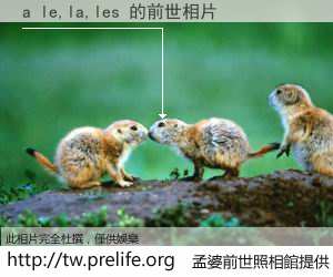 a le,la,les 的前世相片
