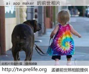 ai app maker 的前世相片