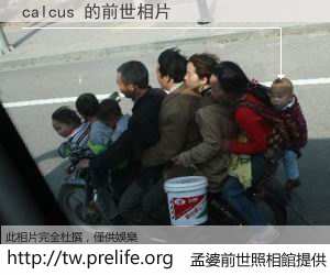 calcus 的前世相片