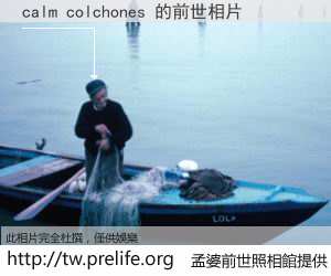 calm colchones 的前世相片