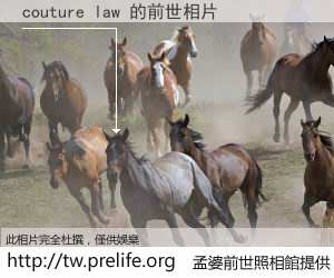 couture law 的前世相片