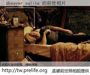 dbeaver sqlite 的前世相片