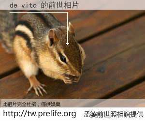 de vito 的前世相片